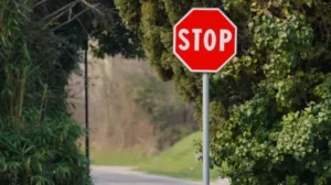 A red stop sign is mounted on a pole next to a road, surrounded by dense green foliage and trees.