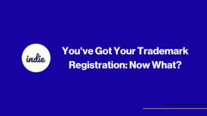 A blue background with a white circle on the left containing the word indie. Beside it, bold white text reads, Youve Got Your Trademark Registration: Now What? Yellow lines decorate the bottom right corner.